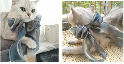 Babero Collar Lazo Ajustable para Mascotas - Gatos y Perros - Image 20