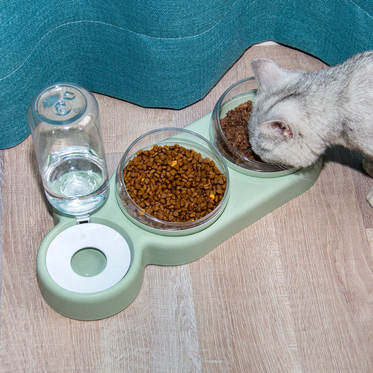 Comedero Automático Doble para Gatos y Perros con Fuente de Agua y Base Elevada - Image 9