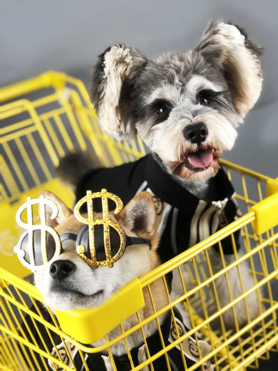 Suéter Versátil para Perros - Primavera, Otoño e Invierno - Image 7