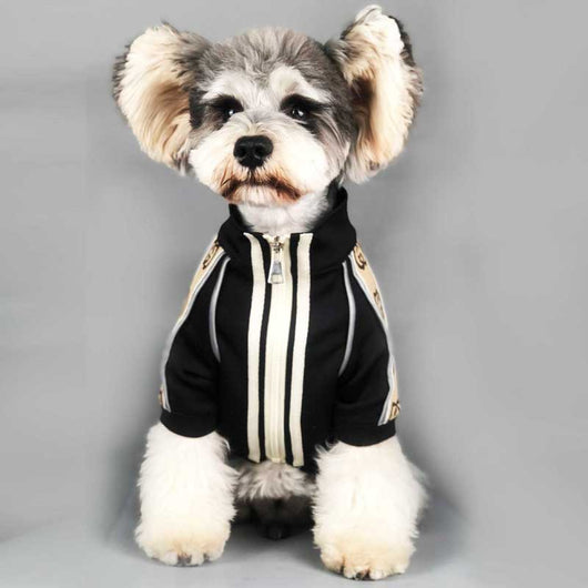 Suéter Versátil para Perros - Primavera, Otoño e Invierno - Image 3