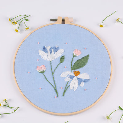 Kit Completo de Bordado DIY - Material Original para Principiantes