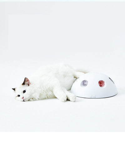 White cat playing with a white dome-shaped electric cat toy, featuring blue feathers visible through openings. - Image 10