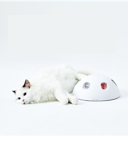 White cat playing with a white dome-shaped electric cat toy, featuring blue feathers visible through openings. - Image 4