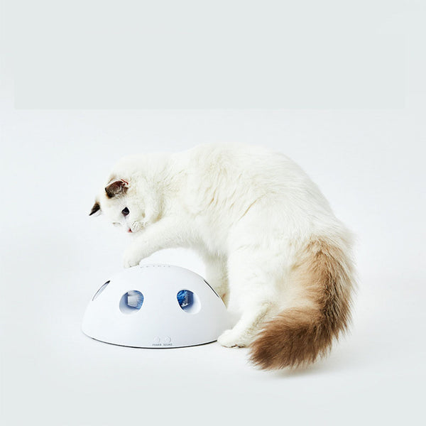 White cat playing with a white dome-shaped electric cat toy, featuring blue feathers visible through openings.