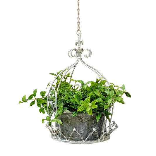Macetero Colgante de Hierro Forjado para Jardín, Balcón y Patio