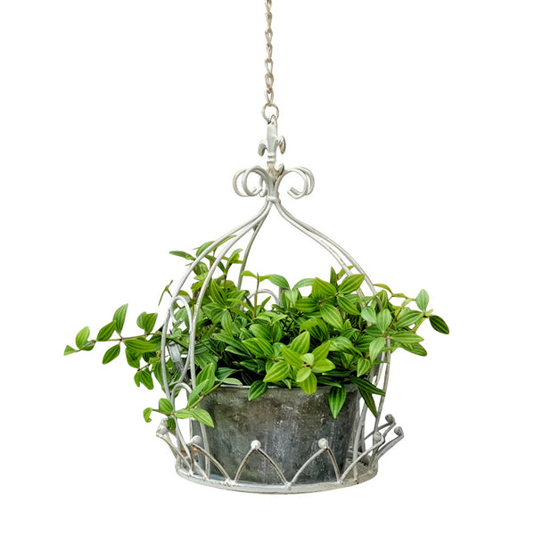 Macetero Colgante de Hierro Forjado para Jardín, Balcón y Patio