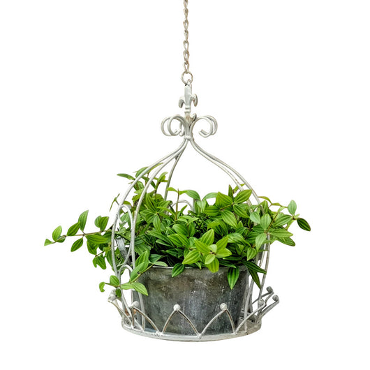 Macetero Colgante de Hierro Forjado para Jardín, Balcón y Patio