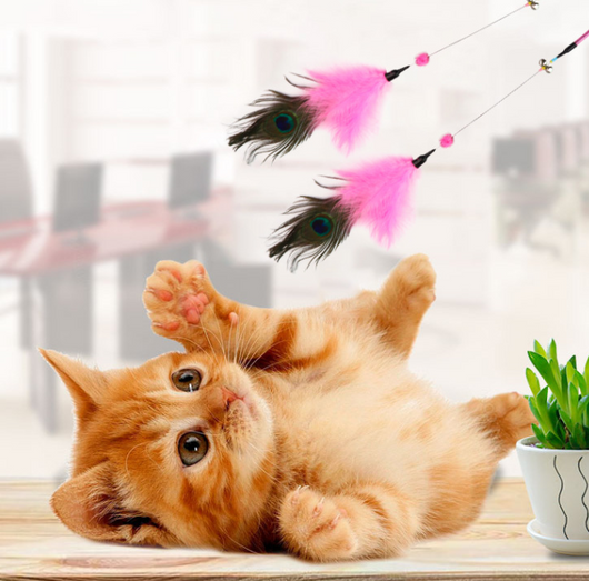 Vara Interactiva para Gatos con Plumas Resistentes a Mordidas - Image 5