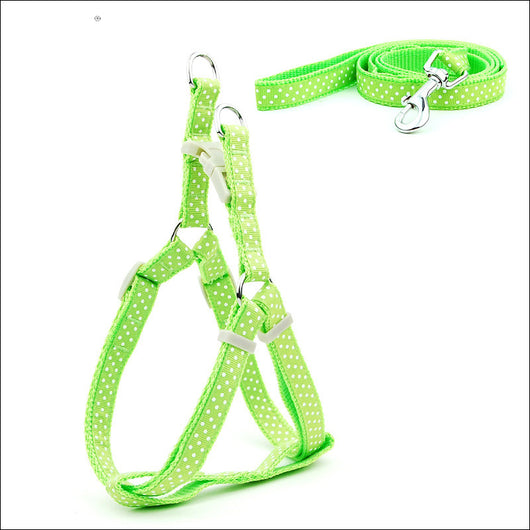 Arnés Pechera para Perros Pequeños y Medianos con Estampado de Lunares - Image 25