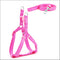 Rosado XS