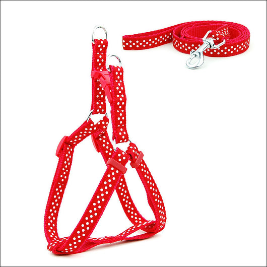 Arnés Pechera para Perros Pequeños y Medianos con Estampado de Lunares - Image 2