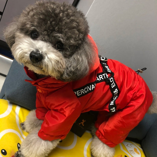 Abrigo Térmico para Perros Pequeños Bichon - Ropa de Invierno Cálida - Image 7