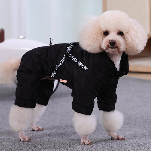 Abrigo Térmico para Perros Pequeños Bichon - Ropa de Invierno Cálida - Image 8