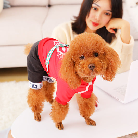 Abrigo Térmico para Perros Pequeños Bichon - Ropa de Invierno Cálida - Image 9