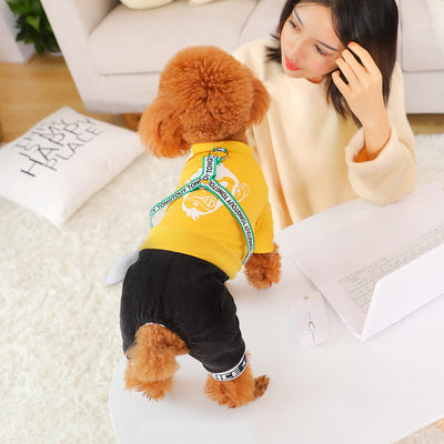 Abrigo Térmico para Perros Pequeños Bichon - Ropa de Invierno Cálida - Image 4