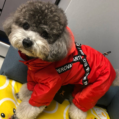 Abrigo Térmico para Perros Pequeños Bichon - Ropa de Invierno Cálida - Image 5