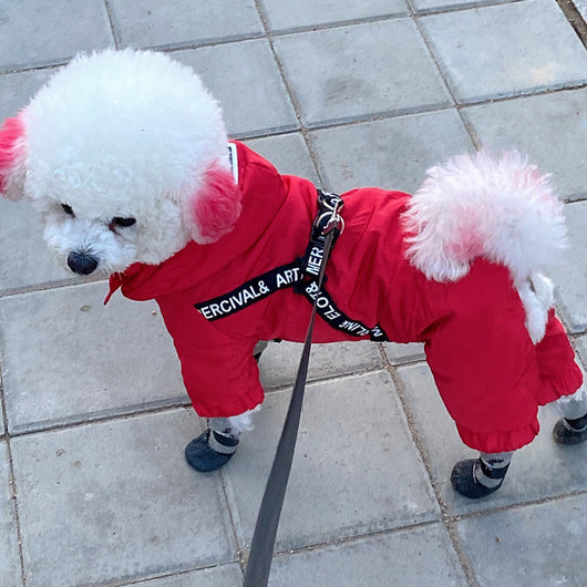 Abrigo Térmico para Perros Pequeños Bichon - Ropa de Invierno Cálida