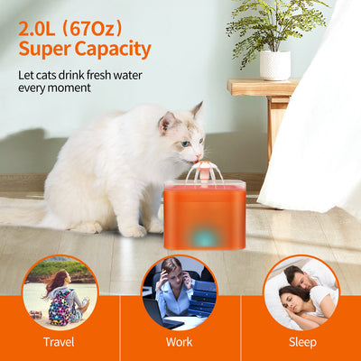 Fuente Automática Circulante para Gatos - Image 14