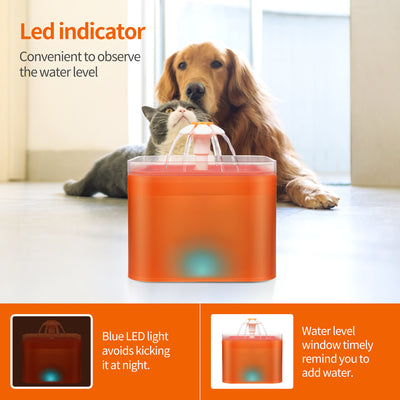 Fuente Automática Circulante para Gatos - Image 18