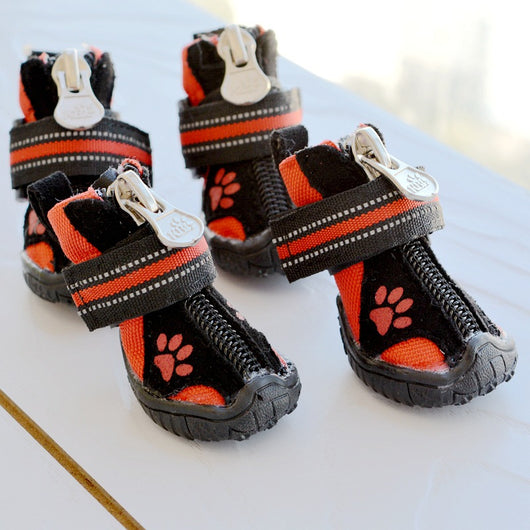 Zapatos Deportivos Impermeables con Huella de Gato - Suela Antideslizante - Image 11