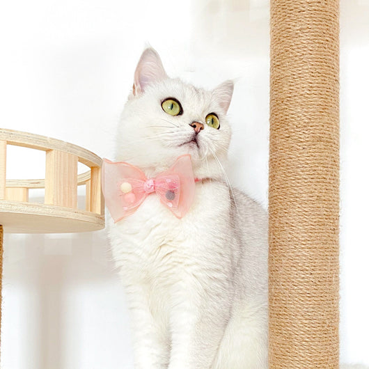 Collar Arco de Encaje y Lentejuelas para Gatos y Perros con Cierre de Seguridad - Image 12