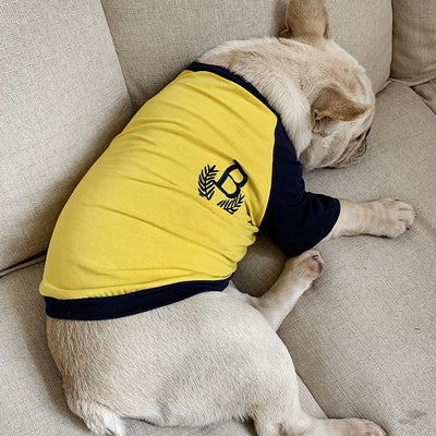 Ropa a Juego para Perros y Dueños - Playeras de Manga Corta - Image 2