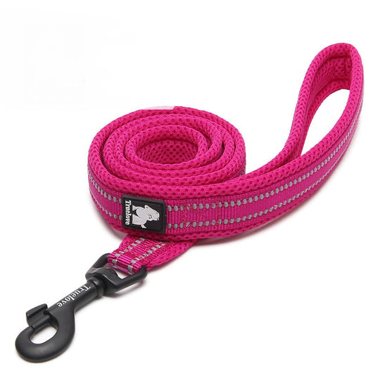 Correa de Seguridad para Perros con Sistema Anti-Pérdida - Image 5