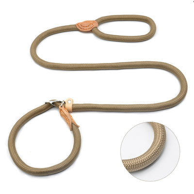 Correa Extensible de Tracción para Perros con Cobertura - Image 3