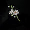 Broche Magnolia Blanca - Joya Retro Elegante con Mensaje de Heroína