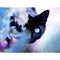 Cuadro de Diamantes Gato Negro con Flores