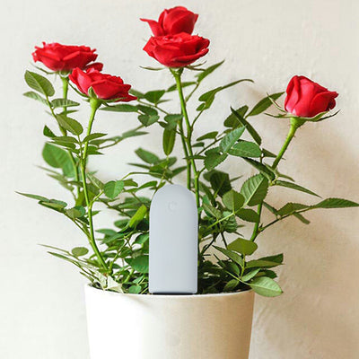 Sensor Inteligente de Suelo y Plantas - Monitor de Humedad, Fertilidad y pH - Image 8