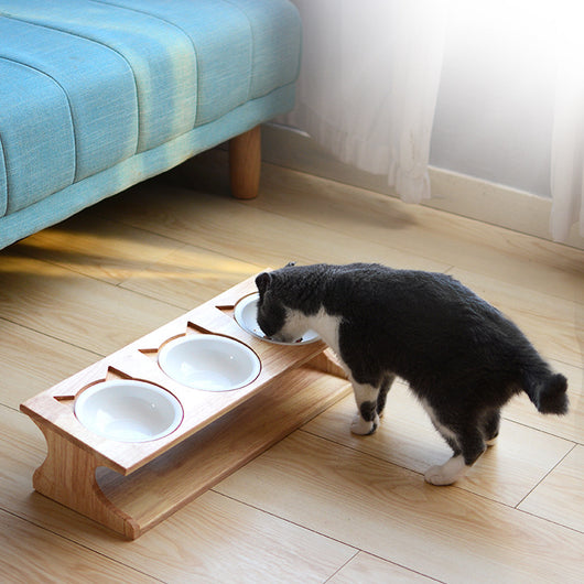 Comedero Elevado para Gatos de Madera Maciza con Protección Antiahogo - Image 3