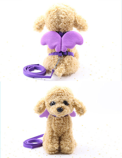 Correas para Perros Ángel Adorable - Image 11