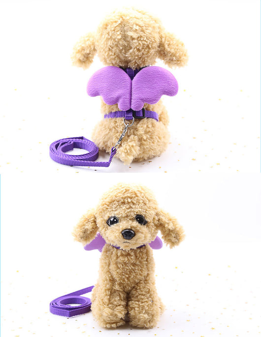 Correas para Perros Ángel Adorable - Image 11
