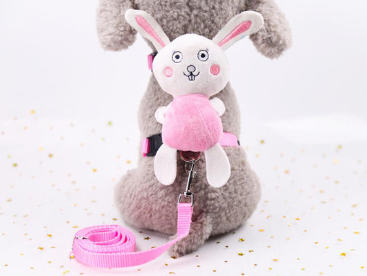 Correas para Perros Ángel Adorable - Image 13
