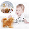 Peluches Eléctricos Interactivos - Corgi, Oso y Conejo