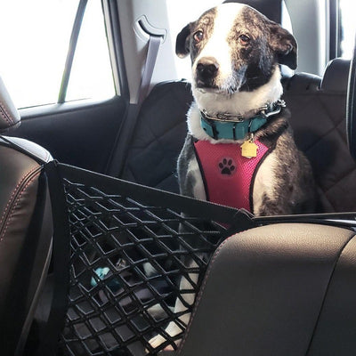 Red de Aislamiento para Mascotas en Auto - Protección Segura - Image 3