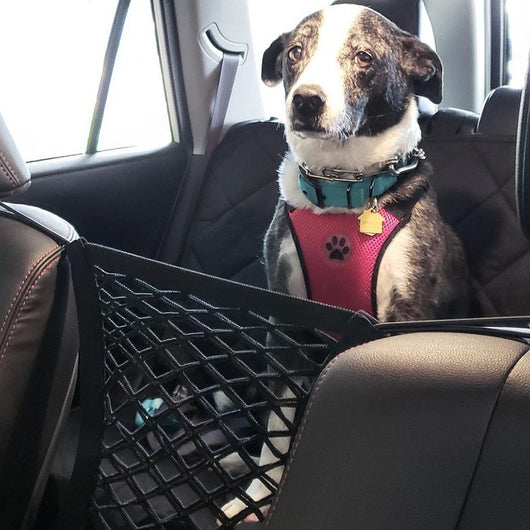 Red de Aislamiento para Mascotas en Auto - Protección Segura - Image 3