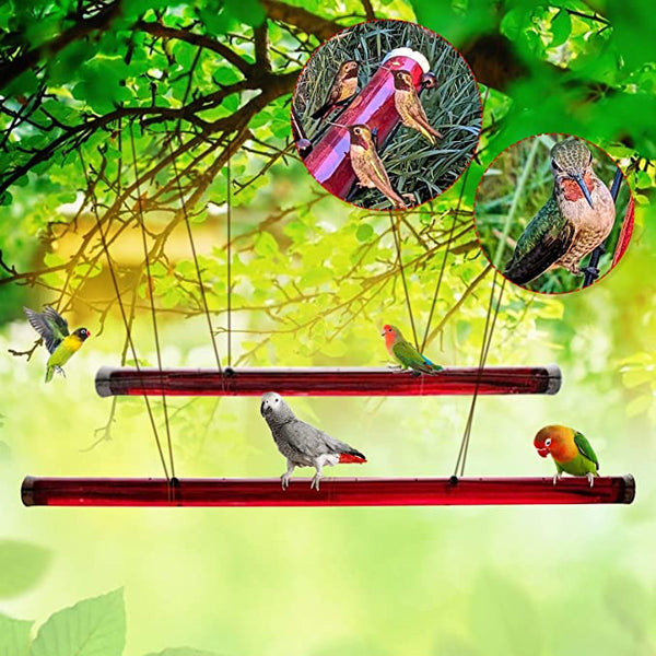 Comedero Colgante Tubo Largo para Colibrís - Rojo Brillante