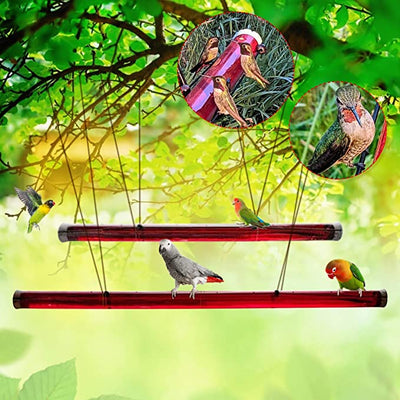 Comedero Colgante Tubo Largo para Colibrís - Rojo Brillante
