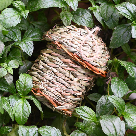 Hand-woven straw bird's nest with a round entrance, made from green and brown grass, hanging from a tree branch. - Image 2
