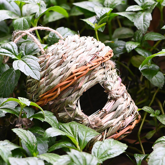 Hand-woven straw bird's nest with a round entrance, made from green and brown grass, hanging from a tree branch. - Image 3