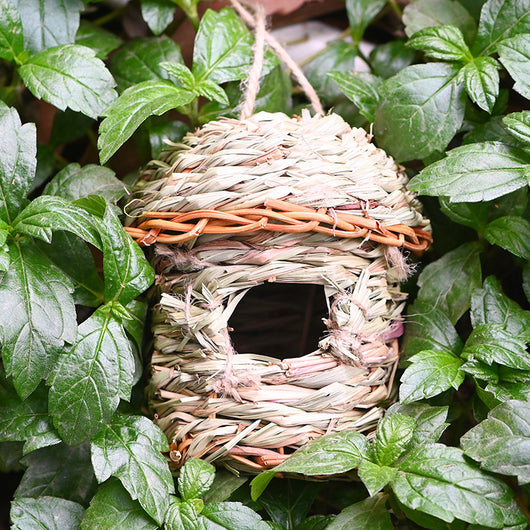 Hand-woven straw bird's nest with a round entrance, made from green and brown grass, hanging from a tree branch. - Image 5