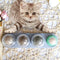 Pelota de Catnip Giratoria con Textura Lamer