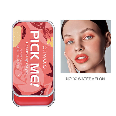Paleta 3 en 1: Labial, Sombra y Rubor Monócromo - Image 6