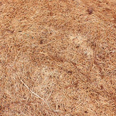 Tapete de Fibra de Coco para Reptiles - Sustrato Libre de Polvo para Tortugas y Lagartos - Image 8
