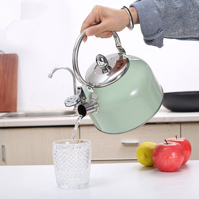 Hervidor de Agua 3L Acero Inoxidable con Silbato y Mango Resistente - Image 4