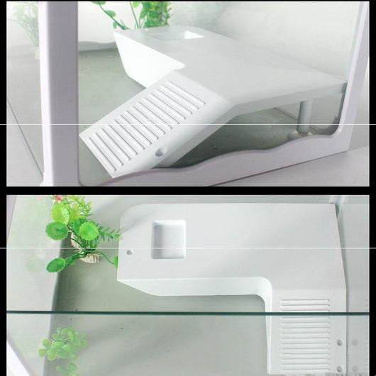 Plataforma Flotante Multifuncional para Reptiles con Escalera y Comedero - Image 4