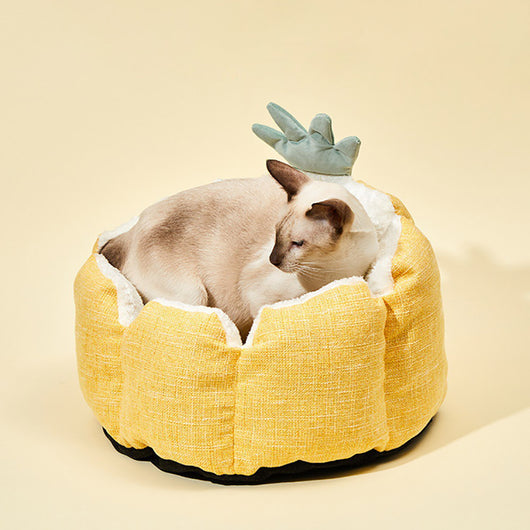 Casa Cama Térmica para Gatos y Perros - Arenero Caliente Todo Clima