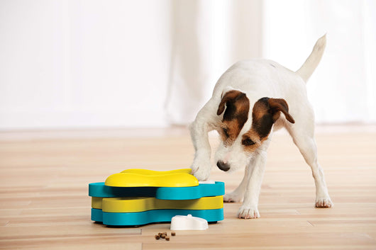 Juguete Educativo Dispensador de Alimento Ciclón Extreme Bone para Mascotas - Image 10